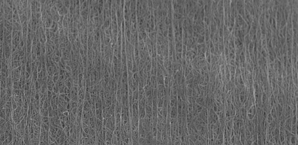 Scanning Electron Microscope image of micro-structures of cathodes made of carbon nanotubes and sulphur Credit: Can Zhang 