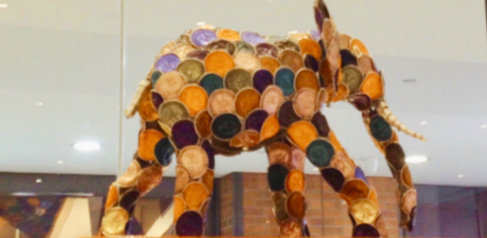 CiPlas Elephant main image - Global Culture - 590x288