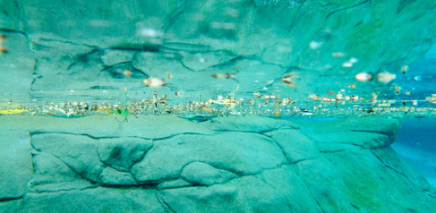 CiPlas - Sourcing Data page - Main image - Waterline - 590x288