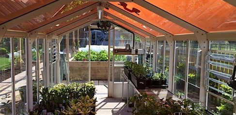 Green energy & better crops: tinted solar panels could boost farm incomes
