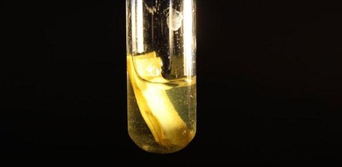 Scientists harness solar power to produce clean hydrogen from biomass