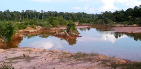 RESEARCH HIGHLIGHT - Birds and fish threatened by mining for clean energy transition