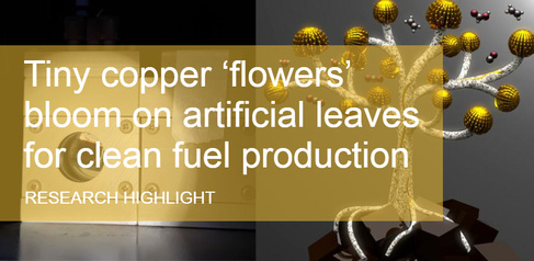 RESEARCH HIGHLIGHT - Tiny copper ‘flowers’ bloom on artificial leaves for clean fuel production