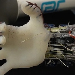 RESEARCH HIGHLIGHT - It’s all in the wrist: energy-efficient robot hand learns how not to drop the ball