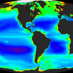Bacteria in the world’s oceans produce millions of tonnes of hydrocarbons each year