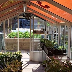 Green energy & better crops: tinted solar panels could boost farm incomes