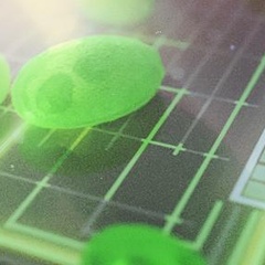 Harnessing the power of algae: new, greener fuel cells move step closer to reality 