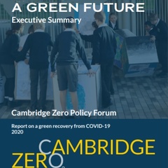 Launch - Green Recovery: A Blueprint for a Green Future