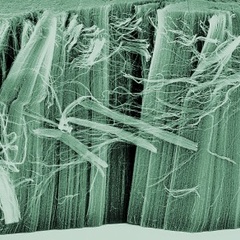 Major new research grant awarded to Professor Sir Mark Welland in the field of nanotechnology 