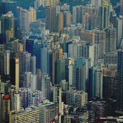 Natural building materials for low-carbon city build