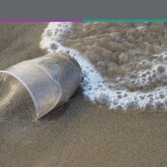 New plastic research projects announced