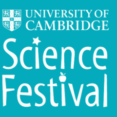 Science Festival 2015: Connectivity and Flow in Future Cities