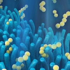 Next-generation smartphone battery inspired by the gut 