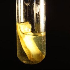Scientists harness solar power to produce clean hydrogen from biomass