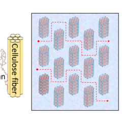 UKRI award for Smart Sustainable Plastic Packaging from Plants (S2UPPlant) 