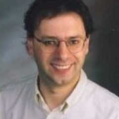 Professor Ali Alavi