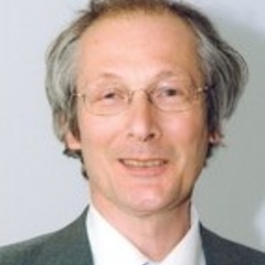 Professor Daan Frenkel