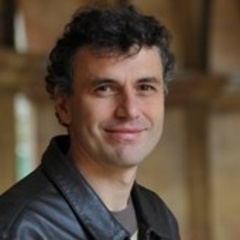 Professor Florin Udrea