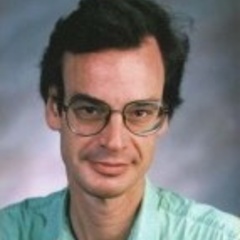 Professor Michiel Sprik