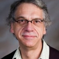 Professor Stephen Elliott