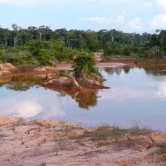 RESEARCH HIGHLIGHT - Birds and fish threatened by mining for clean energy transition