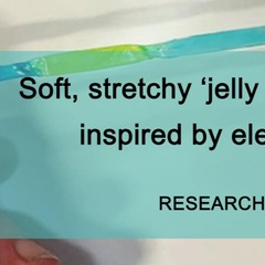 RESEARCH HIGHLIGHT - Soft, stretchy ‘jelly batteries’ inspired by electric eels