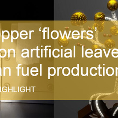 RESEARCH HIGHLIGHT - Tiny copper ‘flowers’ bloom on artificial leaves for clean fuel production