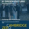 Launch - Green Recovery: A Blueprint for a Green Future