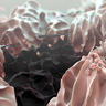 New design points a path to the ‘ultimate’ battery