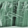 Major new research grant awarded to Professor Sir Mark Welland in the field of nanotechnology 