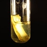 Scientists harness solar power to produce clean hydrogen from biomass
