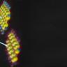 Entanglement at heart of 'two-for-one' fission in next-generation solar cells