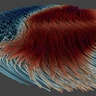 Watching magnetic nano ‘tornadoes’ in 3D