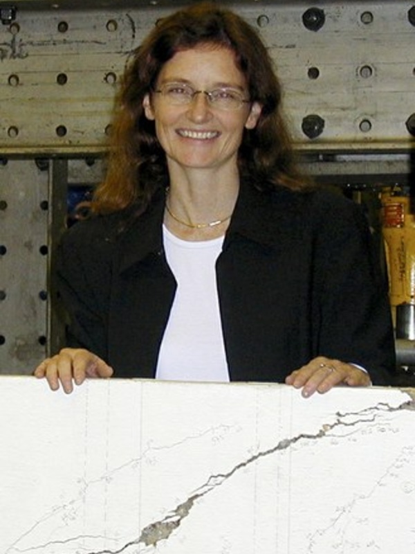Professor Janet Lees