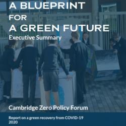 Launch - Green Recovery: A Blueprint for a Green Future