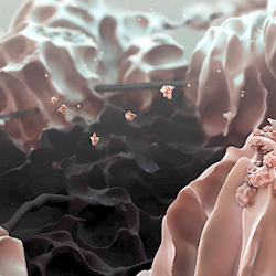 New design points a path to the ‘ultimate’ battery