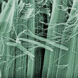 Major new research grant awarded to Professor Sir Mark Welland in the field of nanotechnology 