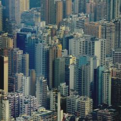 Natural building materials for low-carbon city build