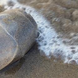 New plastic research projects announced