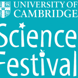 Science Festival 2015: Connectivity and Flow in Future Cities