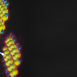 Entanglement at heart of 'two-for-one' fission in next-generation solar cells