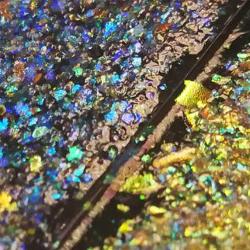 Films of cellulose nanocrystals prepared by the team can be made at scale using roll-to-roll processes like those used to make paper from wood pulp. This is the first time these materials have been fabricated at industrial scale.