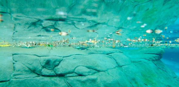 CiPlas - Sourcing Data page - Main image - Waterline - 590x288 CiPlas - Sourcing Data page - Main image - Waterline - 590x288