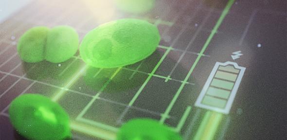 Harnessing the power of algae: new, greener fuel cells move step closer to reality