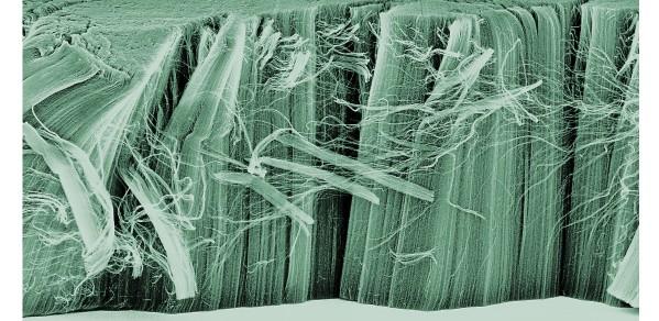 Major new research grant awarded to Professor Sir Mark Welland in the field of nanotechnology