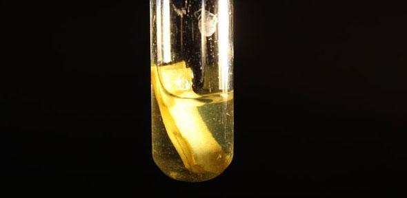 Scientists harness solar power to produce clean hydrogen from biomass