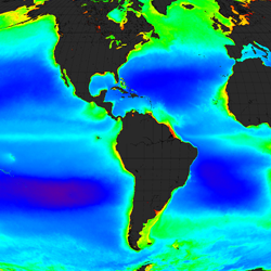 Bacteria in the world’s oceans produce millions of tonnes of hydrocarbons each year