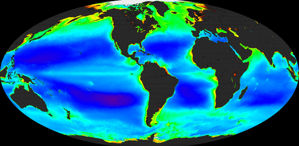 Bacteria in the world’s oceans produce millions of tonnes of hydrocarbons each year